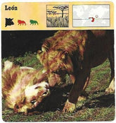 POSTAL A6862: Leon